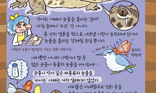 过了3个月可以同房-专业三个月后同房会流产吗平台-过了3个月可以同房不